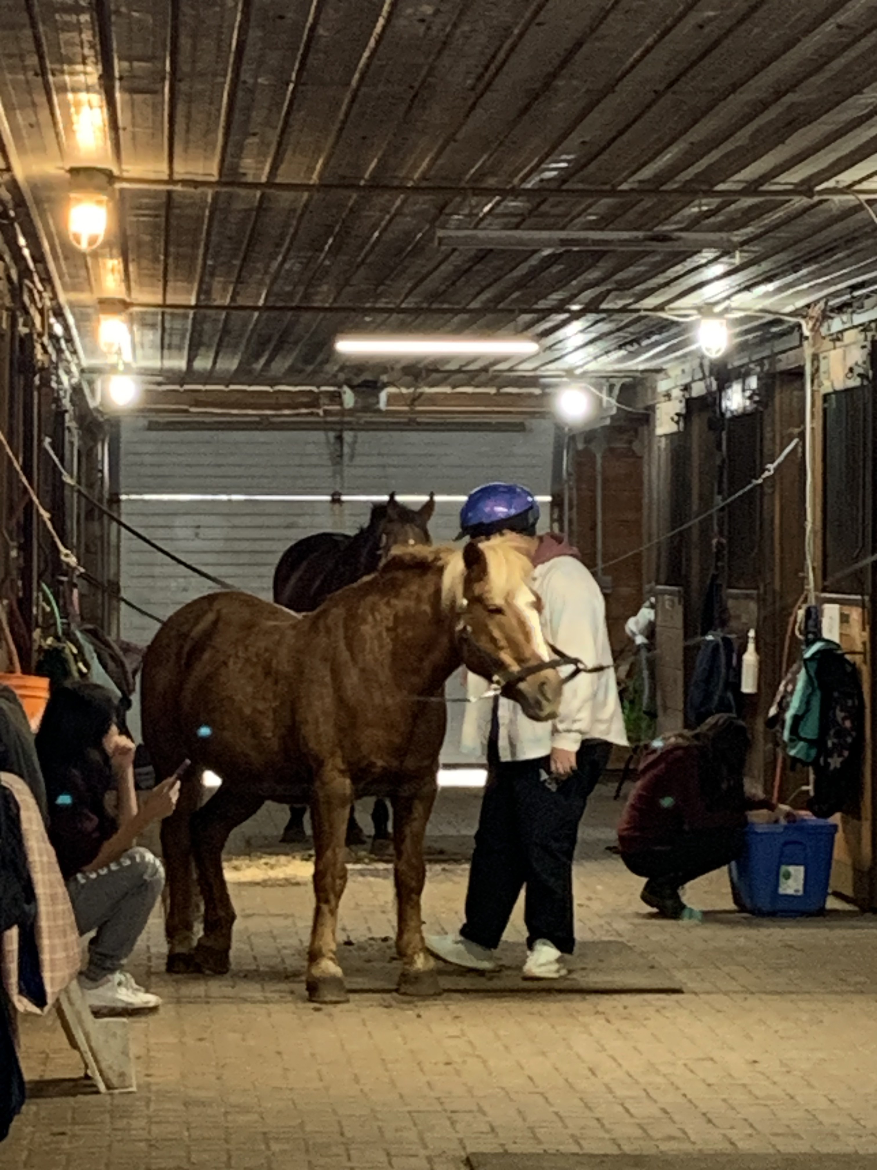 Horse Riding — photo 6